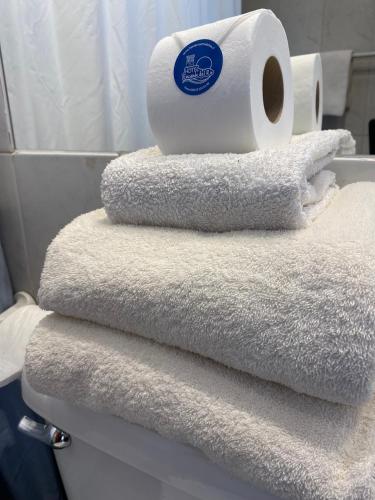 a stack of towels sitting on top of a toilet at Hotel Encanto del Río in Valdivia