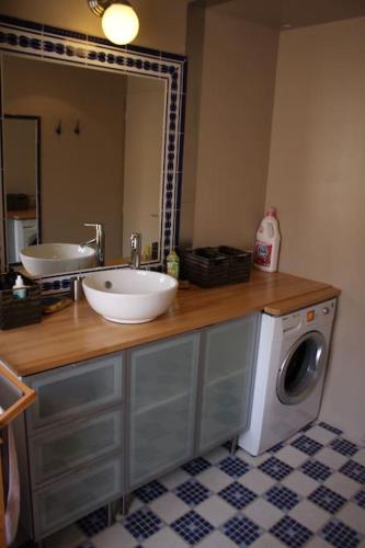 une salle de bain avec un lavabo et une machine à laver dans l'établissement Moulines 10 bis, à Lansargues