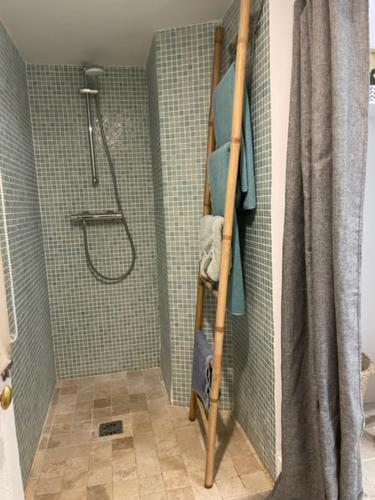 a bathroom with a shower with a shower curtain at Belle suite au coeur de ville ,petit déjeuner, jardin et bassin in Montpellier