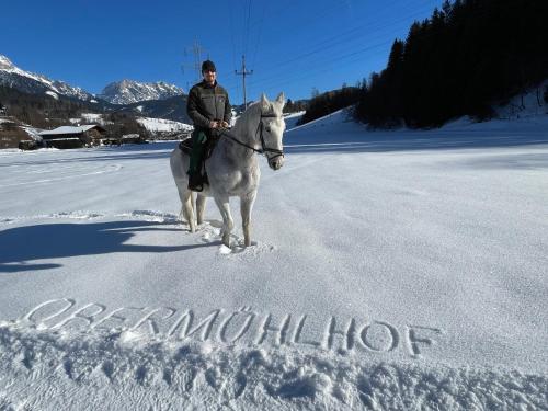 萨菲登安斯泰内嫩米尔Obermühlhof Apartments的骑着马在雪中的人
