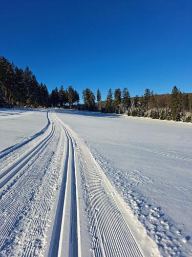 a snow covered road with tracks in the snow at Ferienhaus Willingen Diemelsee in Diemelsee