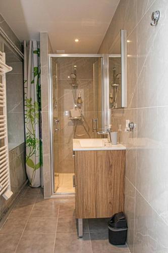 une salle de bain avec un lavabo et une douche dans l'établissement Nouveau Le Grand Champagne immeuble entier, à Champagne-en-Valromey