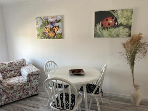 Ruang duduk di White house