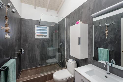 ein Badezimmer mit Toilette, Dusche und Waschbecken in der Unterkunft Bliss Bonaire by Boutique Bonaire Unique Resorts in Kralendijk
