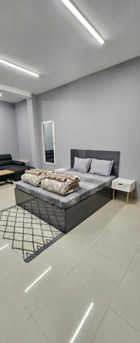 Ново! New Studio PANDORA