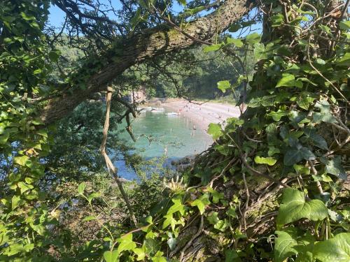 a view of a beach from a tree at Abingdon House in Torquay