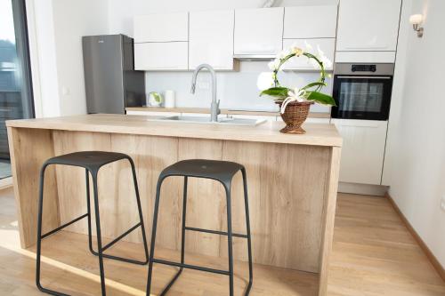 Una cocina o zona de cocina en DALGONA apartma Godler, Podčetrtek