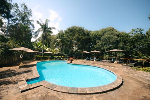a swimming pool with chairs and umbrellas at Aishi Machame in Moshi