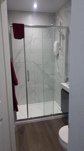 a shower with a glass door in a bathroom at DON VALLEY ARENA APPARTMENTs in Attercliffe
