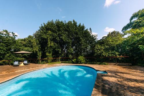 a blue swimming pool with two chairs and trees at Aishi Machame in Moshi