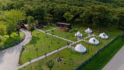 Κήπος έξω από το Glamping Di Palma