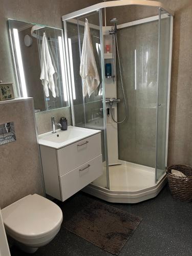 a bathroom with a shower and a toilet and a sink at Seaside apartment at Holmen in Kristiansand