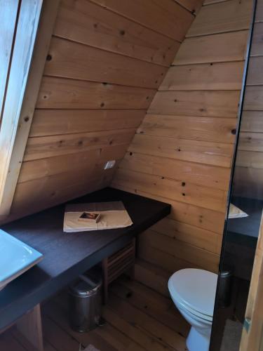 La salle de bains est pourvue de toilettes et d'un mur en bois. dans l'établissement Merveilleux chalet à la montagne, à La Colmiane