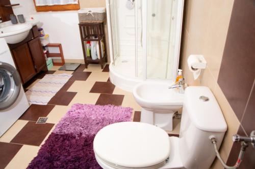 a bathroom with a toilet and a sink and a shower at Casuta-Lacului in Unciuc