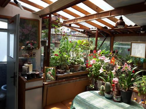 En have udenfor Diana Guesthouse