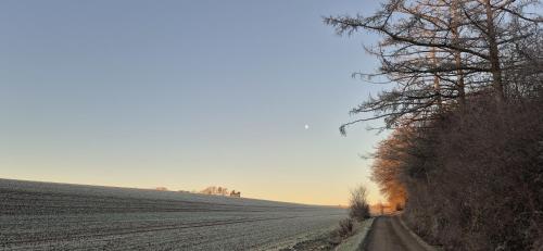 a dirt road in the middle of a field at Ferienapartment Haus am Grün 1 "Sunrise" - Ruhe & Entspannung mitten in der Natur in Herzberg am Harz
