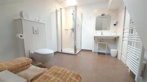 une salle de bain avec une douche, des toilettes et un lavabo dans l'établissement Domaine de Treuillaud climatisé piscine privée, à Villers-les-Ormes