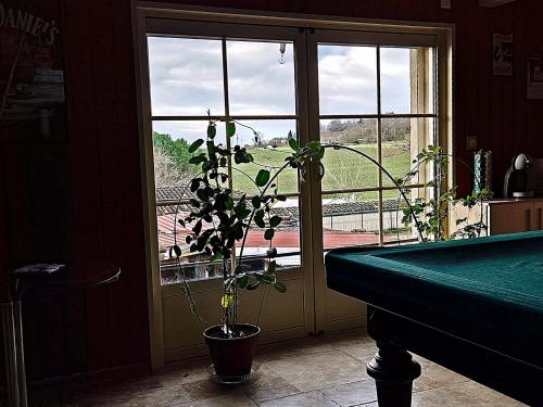 a plant in a pot next to a pool table at Au chêne vert in Magnas
