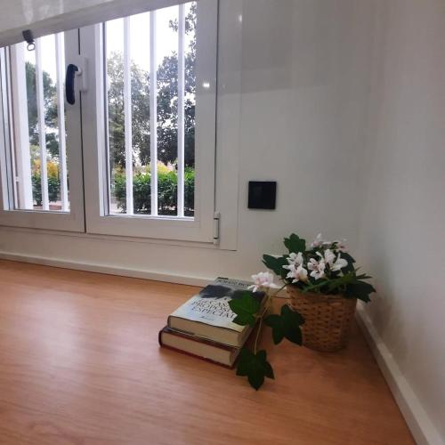 two books sitting on a floor next to a window at office 2036 in Tres Cantos