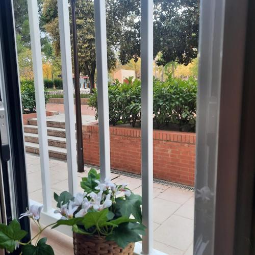 a window with a potted plant in a room at office 2036 in Tres Cantos