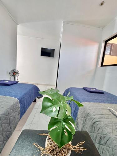 En eller flere senge i et værelse på Global House Apartamento 2