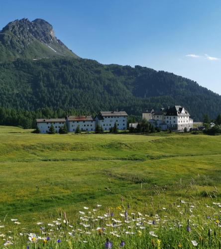 a field of flowers in front of a mountain at Hotel Maloja Kulm in Maloja