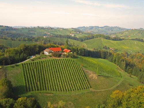 an aerial view of a vineyard in the hills at Weingut- Gästezimmer Marko in Leutschach