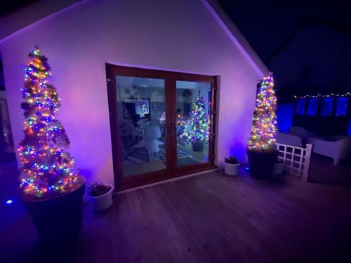a living room with two christmas trees and purple lights at Seaview Cottage on the Island in Millbay