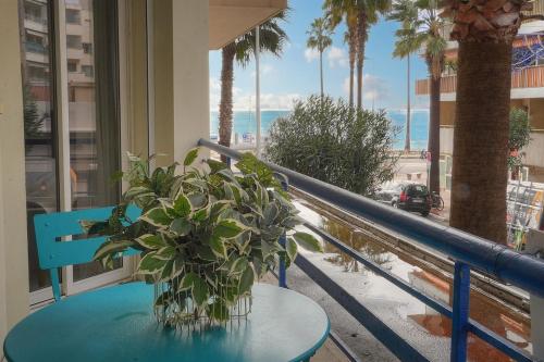 FRGK - Le Dauphin - Juan les pins