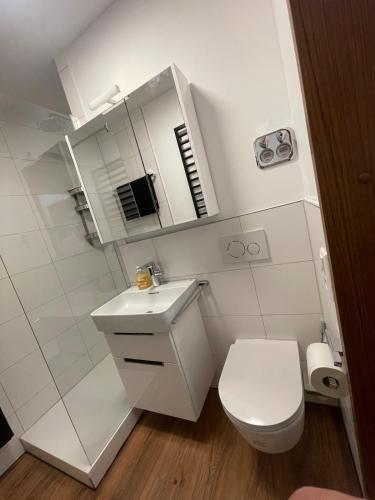 ein Badezimmer mit Toilette, Waschbecken und Spiegel in der Unterkunft Casa Sole in Leonberg