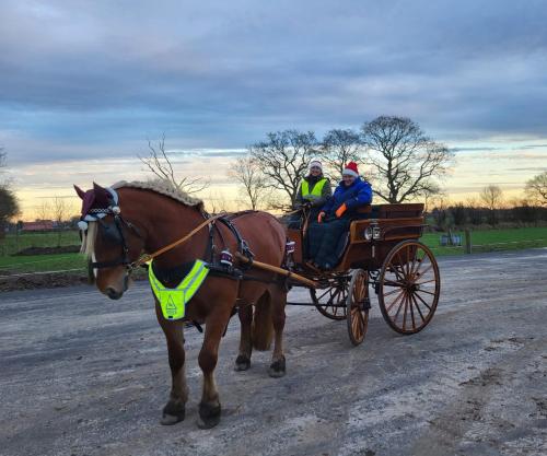 two people riding in a horse drawn carriage at Postgaarden Frøslev in Padborg