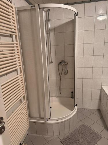 a shower with a glass door in a bathroom at Rebhof Bahlingen Ferienwohnung Nr 17 Silvaner in Bahlingen