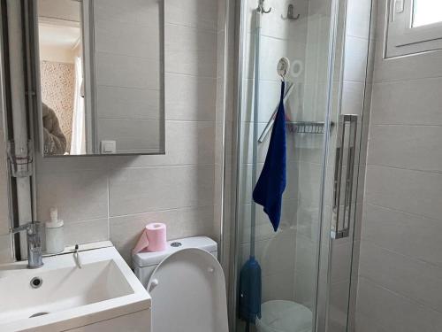une salle de bain avec une douche, des toilettes et un lavabo dans l'établissement Petit appartement rétro français Paris 10, à Paris