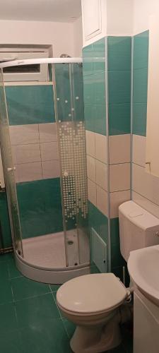 a bathroom with a shower and a toilet and a sink at Apartament vacanta in Sibiu