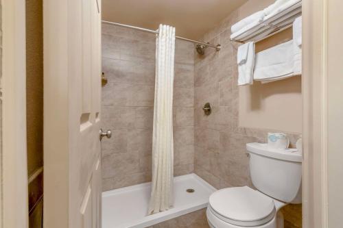 a bathroom with a toilet and a shower at Best Western Plus Concord Inn in Minocqua