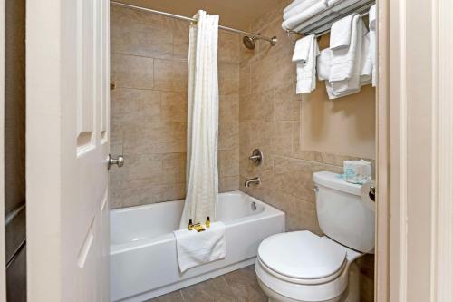 a bathroom with a toilet and a tub and a sink at Best Western Plus Concord Inn in Minocqua