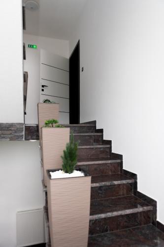 a set of stairs with potted plants on them at Apartmani Leila in Gospić