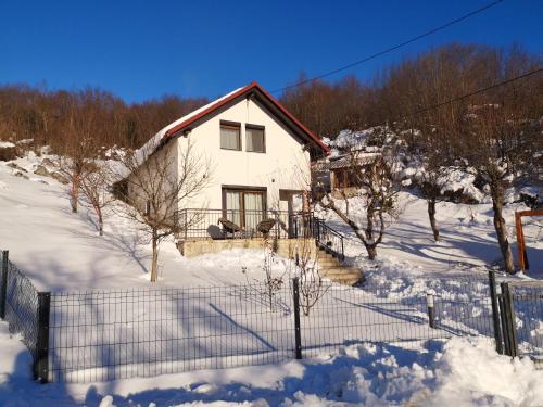 a house with a fence in the snow at Kuća za odmor IVA in Stajnica