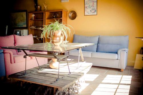 A seating area at Hotel Enrique Calvillo