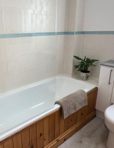 a bathroom with a tub and a toilet and a plant at Wheel Corner Cottage in Kingsteignton