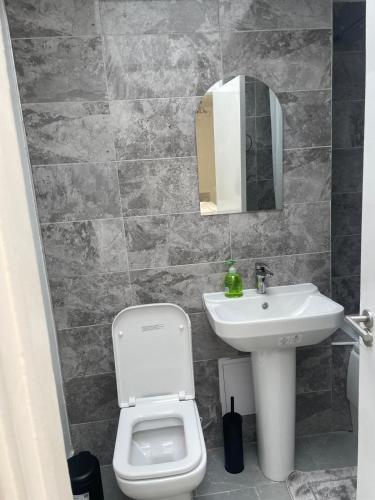 a bathroom with a sink and a toilet and a mirror at Alpha Properties 2 in Southend-on-Sea