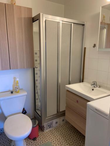 une salle de bain avec une douche, des toilettes et un lavabo dans l'établissement Studio pieds des pistes les orres 1650, aux Orres
