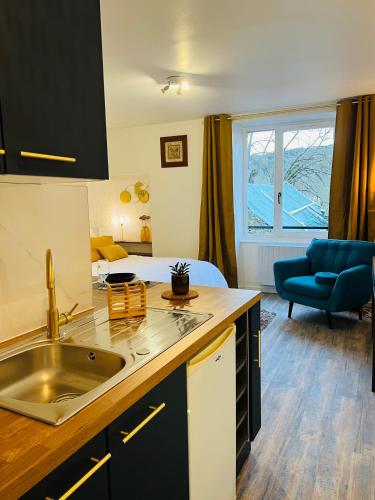 une cuisine avec un évier et un salon dans l'établissement Beau studio proche des Halles, à Crémieu