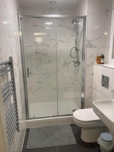 a bathroom with a shower and a toilet and a sink at Cozy room in a shared apartment in Lucan