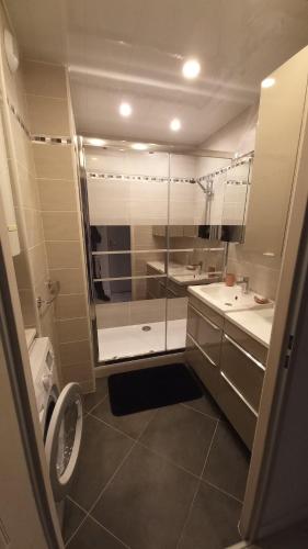une salle de bain avec une douche en verre et des toilettes dans l'établissement Sea view - Vue mer - Proche commerces - Nausicaa, à Wimereux