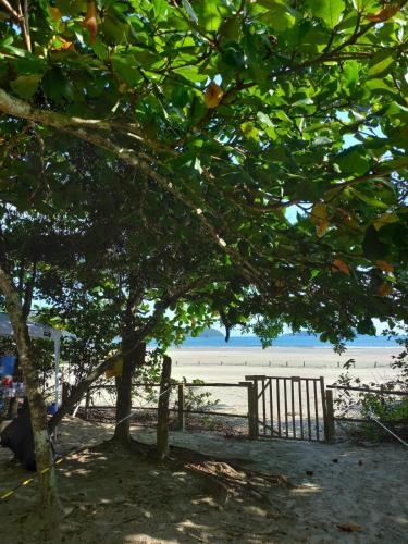 a tree in front of a beach with a fence at Rancho Pé na Areia- Ubatumirim Giba Panamá in Ubatuba