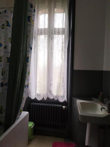 une salle de bain avec un rideau de douche et un lavabo dans l'établissement Chambre dans maison bourgeoise 1 personne, à Airvault