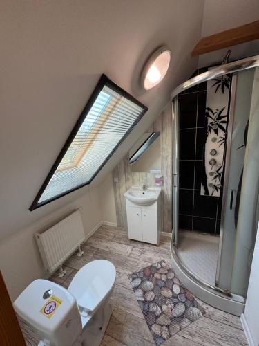 a bathroom with a toilet and a sink and a skylight at Chata Cerovo in Cerovo