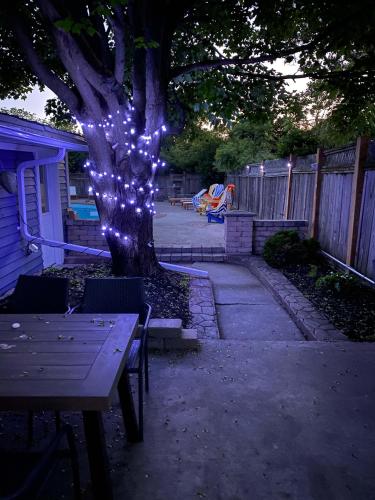 a tree with lights on it in a yard at Marina and Main - In Ground Pool and Games Room in Wellington