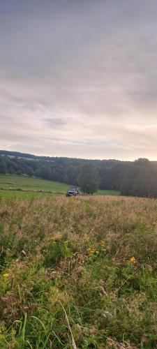 a car parked in the middle of a field at Dom Gościnny Zarembianka in Międzylesie
